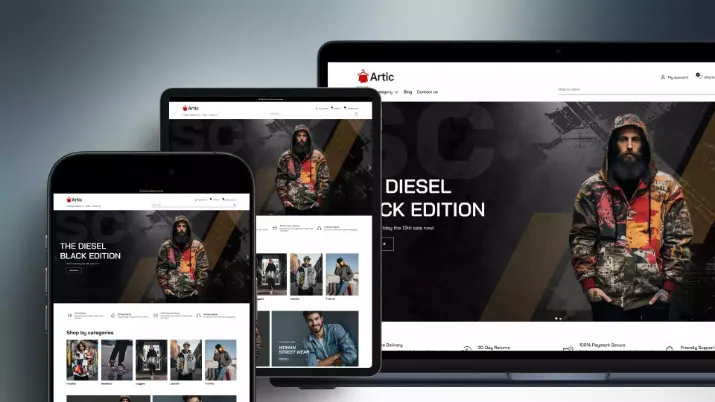 Picture of Artic Theme