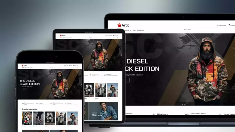 Picture of Artic Theme